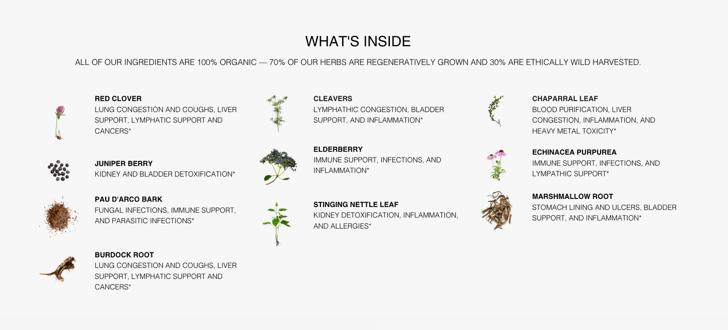 Whole Body Detox Tea