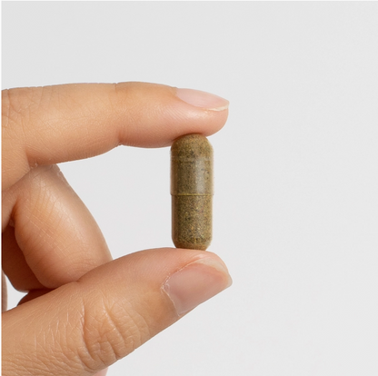 Parasite Detox Cleanse Formula -Food Over Drugs