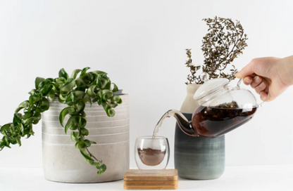 Whole Body Detox Tea