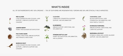 Whole Body Detox Tea