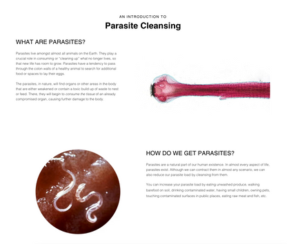 Parasite Detox Cleanse Formula -Food Over Drugs